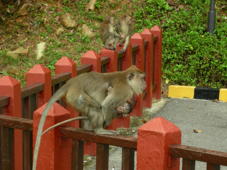 Langkawi 2009