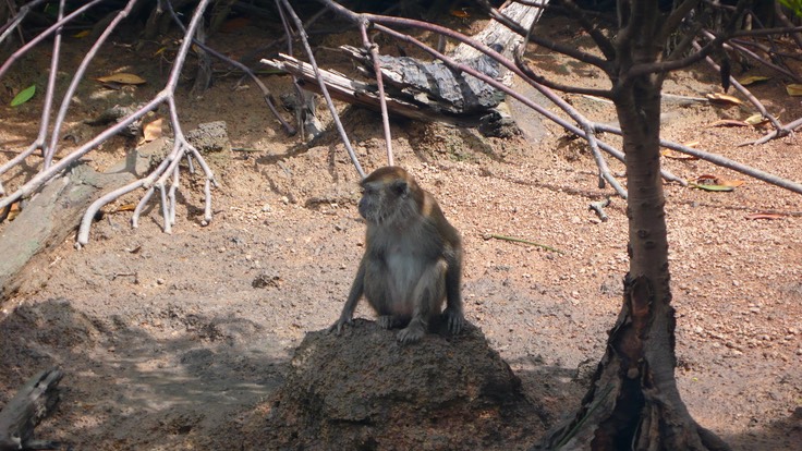 Langkawi 2009